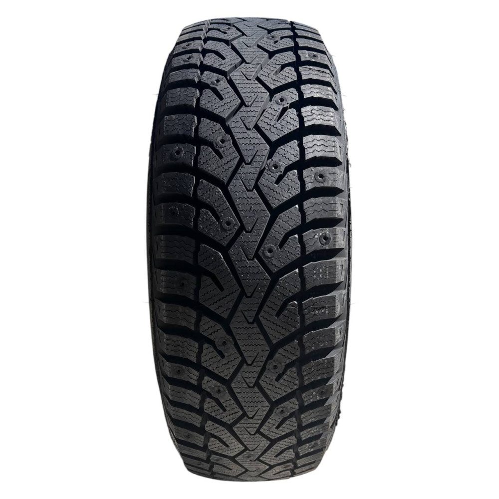 195/65 R15 [95] T RXFROST POLAR EDGE XL