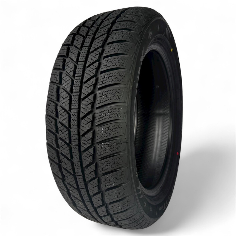 205/60 R15 [91] H RXFROST WH01