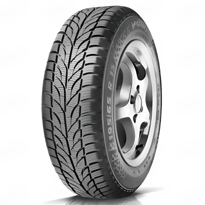 215/55R16 M+S 93H Winter Paxaro шина