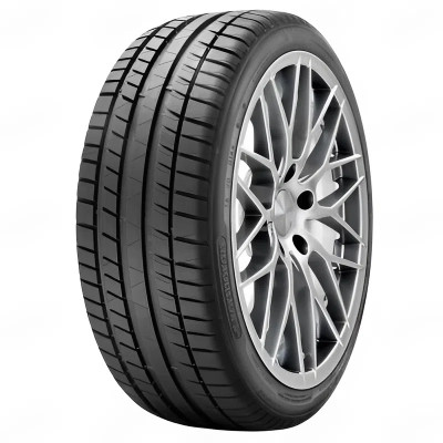 205/55R16 91V Road Performance Kormoran шина