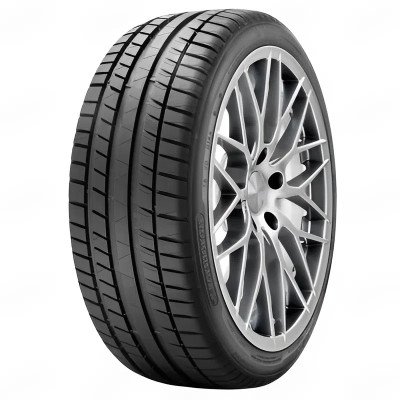 205/55R16 91V Road Performance Kormoran шина